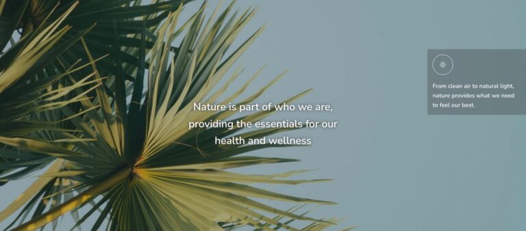 A green palm tree leaf against a pale blue sky with white text overlay about nature’s role in health and wellness.